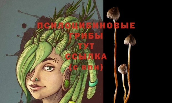 марки lsd Алзамай