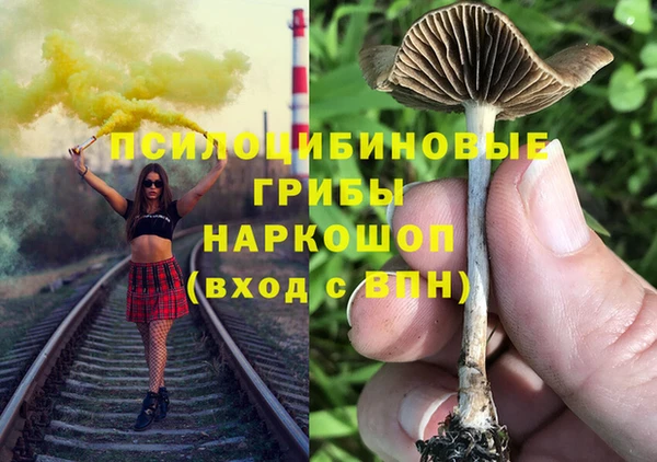 хмурый Армянск