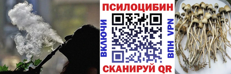Галлюциногенные грибы Psilocybine cubensis  Харабали 
